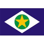 Bandeira Em Tecido De Estados Brasileiros 1,50x1,00