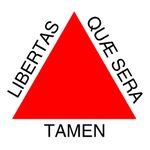 Bandeira Em Tecido De Estados Brasileiros 1,50x1,00