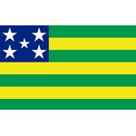 Bandeira Em Tecido De Estados Brasileiros 1,50x1,00