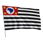 Bandeira Em Tecido De Estados Brasileiros 1,50x1,00