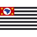 Bandeira Em Tecido De Estados Brasileiros 1,50x1,00