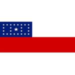 Bandeira Em Tecido De Estados Brasileiros 1,50x1,00