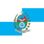 Bandeira Em Tecido De Estados Brasileiros 1,50x1,00