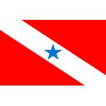Bandeira Em Tecido De Estados Brasileiros 1,50x1,00