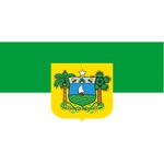 Bandeira Em Tecido De Estados Brasileiros 1,50x1,00