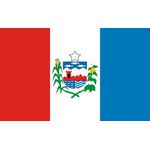 Bandeira Em Tecido De Estados Brasileiros 1,50x1,00