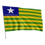 Bandeira Em Tecido De Estados Brasileiros 1,50x1,00