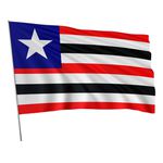 Bandeira Em Tecido De Estados Brasileiros 1,50x1,00
