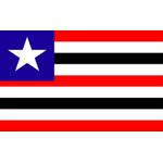 Bandeira Em Tecido De Estados Brasileiros 1,50x1,00