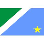 Bandeira Em Tecido De Estados Brasileiros 1,50x1,00