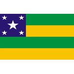 Bandeira Em Tecido De Estados Brasileiros 1,50x1,00