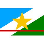 Bandeira Em Tecido De Estados Brasileiros 1,50x1,00