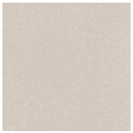 Porcelanato Delta 120X120 Fossili Avena Polido A