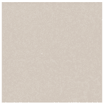 Porcelanato Delta 120X120 Fossili Avena Polido A