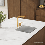 Bica Monocomando de Mesa para Cozinha 1291.GL99.RD