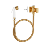 Ducha Higiênica com Registro Polo Gold Deca 1984.GL33.ACT