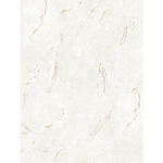 Porcelanato Portinari 120x120 Parana Gold WH NAT DD