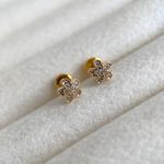 Brinco de flor cravejado antialérgico 