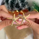 Brinco de estrela orgânico 