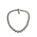 Colar Perola Shell