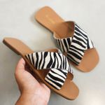 Rasteira Manu Zebra