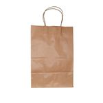 Sacola Papel Kraft 23,5x17x37cm Natural c/10 und