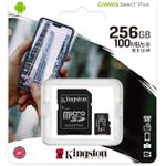 Cartão de memória microSD Kingston de 256GB Canvas 
