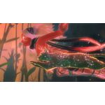 Gravity rush 2 semi-novo