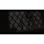 silent hill ps3
