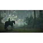 Shadow of The Colossus semi novo 