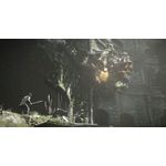 Shadow of The Colossus semi novo 