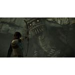 Shadow of The Colossus semi novo 