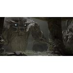 Shadow of The Colossus semi novo 