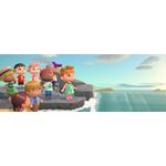 Animal Crossing switch