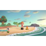 Animal Crossing switch