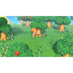 Animal Crossing switch