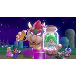 Super Mario 3D World Bowsers Fury Switch