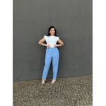 Calça Alfaiataria Flora em Liocel AZUL CLARO
