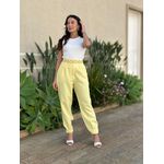 Calça Alfaiataria Noemi AMARELO
