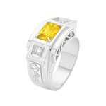 Anel em Prata Formatura Farmácia Masculino Pedras