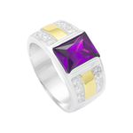 Anel Masculino em Prata 950 com Pedra Zircônia cor Roxa Ametista - AN13021