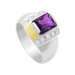 Anel Masculino em Prata 950 com Pedra Roxa