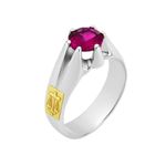 Anel em Prata 950 formatura Direito Masculino Pé de Cabra