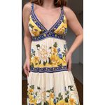 Vestido Longo Flor Do Rio Estampado