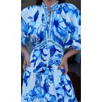 Vestido Longo Manga Chita Porcelana Estampado