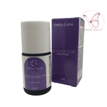 Primer Adesivador Leticia Gama 14ml