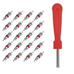 Kit 11 Núcleo para Válvula FNT-1043 + Tarraxa Tipo Fenda Saca Núcleo 95mm FNT-1054 Fiontar