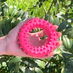 Anel Brinquedo Porte Pequeno - Big Bull Pet