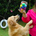 Pote 10 Bolas Porte Pequeno - Big Bull Pet