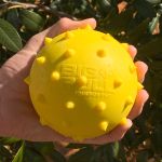 Bolinha Cravo Porte Grande - Big Bull Pet